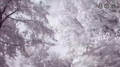 k2 winter land with agnes CF