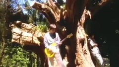 Hello, Again 〜昔からある场所〜