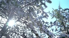 壮美云海莽苍苍!四川峨眉山风景一览