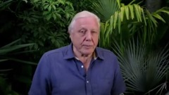 微型猛兽世界之旅E06.群体