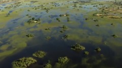 狒狒过河 一二一