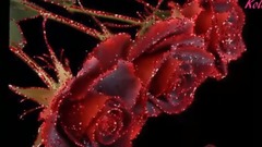 Giovanni Marradi - If You Only Knew