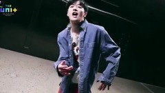 FeelDog Voice & Performance