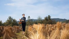 东坪<柿子树下>拍摄花絮