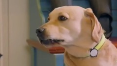 [欧叶拜托鲍宇训练小七