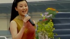 宋祖英 - 慰问歌