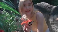 Reggae Vibes Riddim 2017