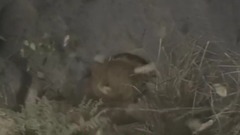 五百年桑田沧海