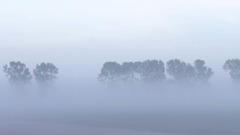 翠屏缝纫院 - 四季