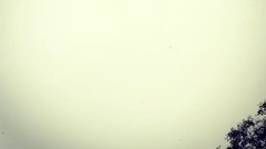 世勋更新INS视频一则 初雪