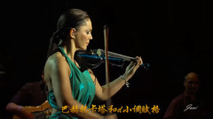 小提琴公主 托卡塔和D小调赋格