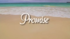 Promise