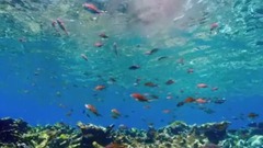 风景,影视原声,音乐短片,轻音乐 - 奇特的现象.蓝色星球II.