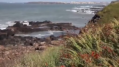 Song Of The Shepherd