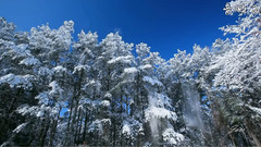 拉赫玛尼诺夫幻想小品集- 悲歌Op.3 No.1.