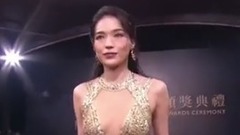 舒淇再登金马最美 陈珮騏被批"防治登革热"