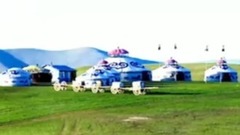 陪你一起看草原