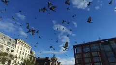 民乐群星,风景,音乐短片,轻音乐,乐动城市 - One Day In Manchester 行走在曼彻斯特