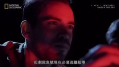 电影<深海二战>第二集