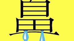 把VCD放在500度的铁锅中煎 接下来的一幕回发生什么