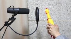 让玩具公鸡唱卡妹的Havana给你听