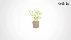 アッシュなミルクティー Ver.センラ