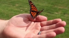 New Italo Disco - Boy Blue - I Still Love You (Another Disco Mix)