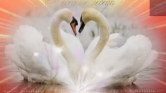 Светлана Кононова