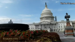 Purple Passion 紫色激情