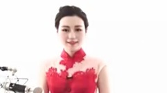 民乐群星 - 女儿情