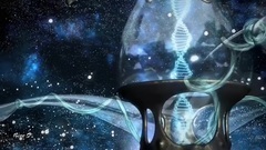 Gift From The Universe