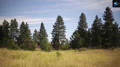 Every Day In My Mind