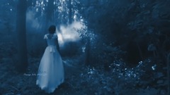 Passage Into Midnight