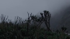 非洲艾伯丁裂谷.生命物语.第一集