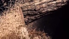 风景,音乐短片,轻音乐 - 年轮 木头物语