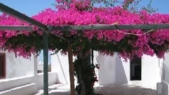 A Place In My Heart Nana