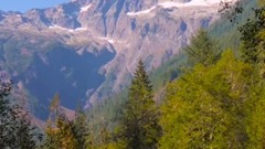 风景,影视原声,音乐短片,轻音乐,乐动城市 - 潺潺溪流 华盛顿之秋