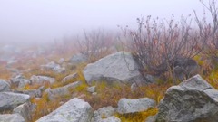 风景,影视原声,音乐短片,轻音乐,乐动城市 - 宁静的湖泊 华盛顿之秋