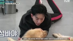 需要对话的狗狗.E13.