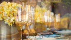 【雨中的失落】小黎的传说作品