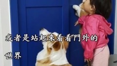 小主人正好奇两只柯基在看什么,结果下一秒的画面让人瞬间萌翻!
