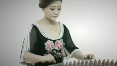 民乐群星 - 霸王别姬 古筝独奏