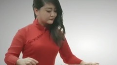 民乐群星 - 甜蜜蜜