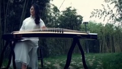 民乐群星 - 友情岁月 古筝独奏