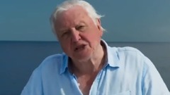 最终水世界 S2E7