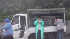 【诱捕浪浪】雨中奔逃的幼犬