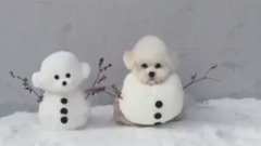 这个圣诞节的雪人怎麽看起来不太一样...还会动!