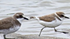 爱的路上千万里