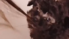 少女时代,太妍(少女时代) - 金泰妍的Zero更新第九则