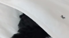 金泰妍的Zero更新第十则